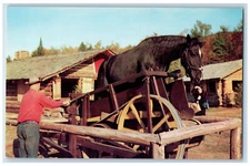 c1950's Sawing Logs By Means of Horse Treadmill at Frontier Town NY Postcard
