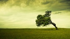 Landscape nature trees Custom Gaming Mat Desk