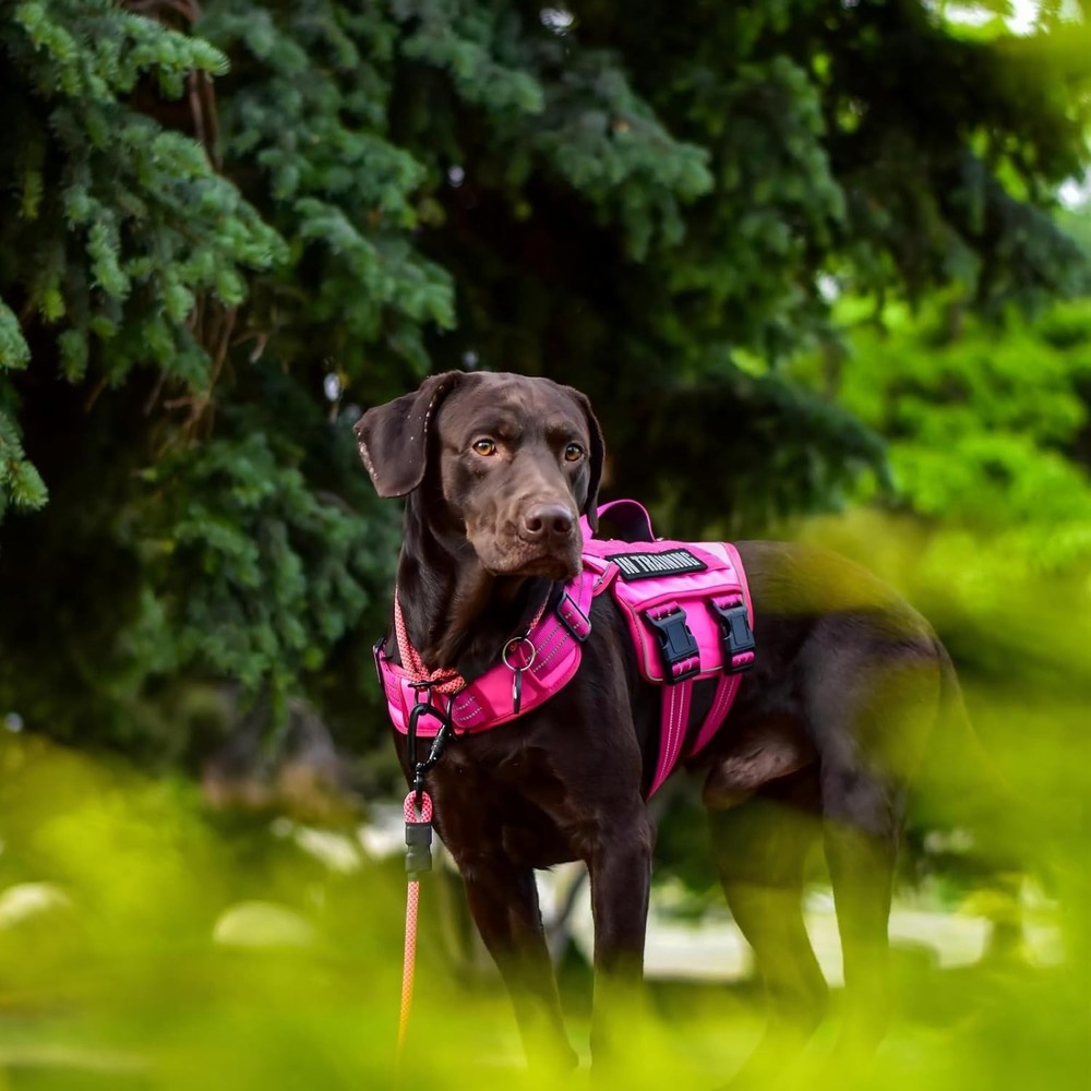 Dog Harness for Large Dogs Heavy Duty, No Pull Tactical Dog Harness