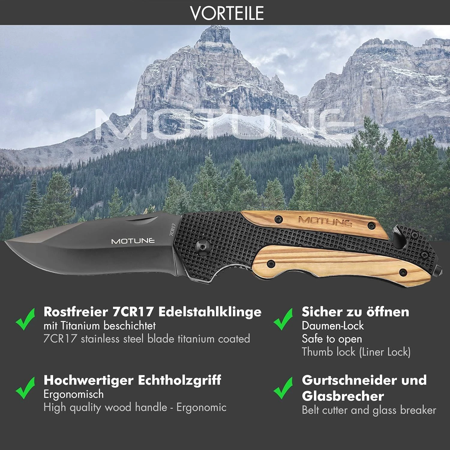 Bild 3 von 8