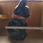 Foto 5 di 10