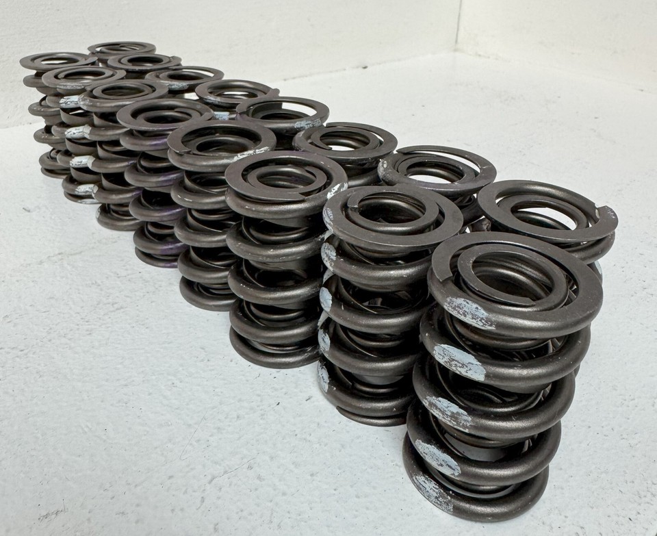 NEW Lunati Extreme Series Dual Valve Springs 74740-16 | eBay