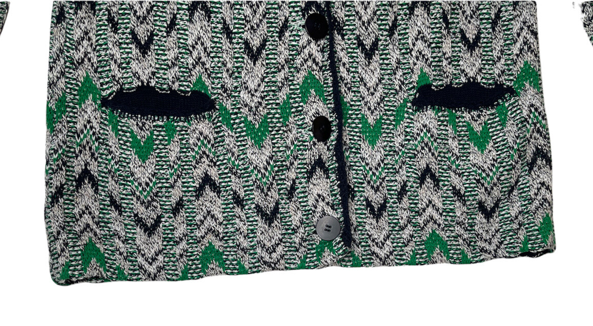 Pendleton Blue Green Chevron Button Up Cotton Sil… - image 7