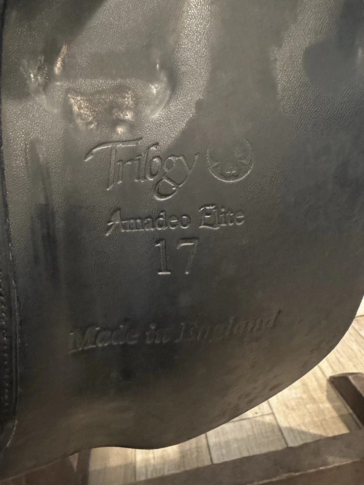 Sillín de doma Trilogy Amadeo Elite, 17"" Foto 4 de 4