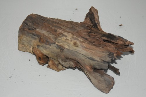 Real Structured Half Open Aquarium Bog Wood SHOBWG Suitable For Fish Aquariums - Picture 2 of 3