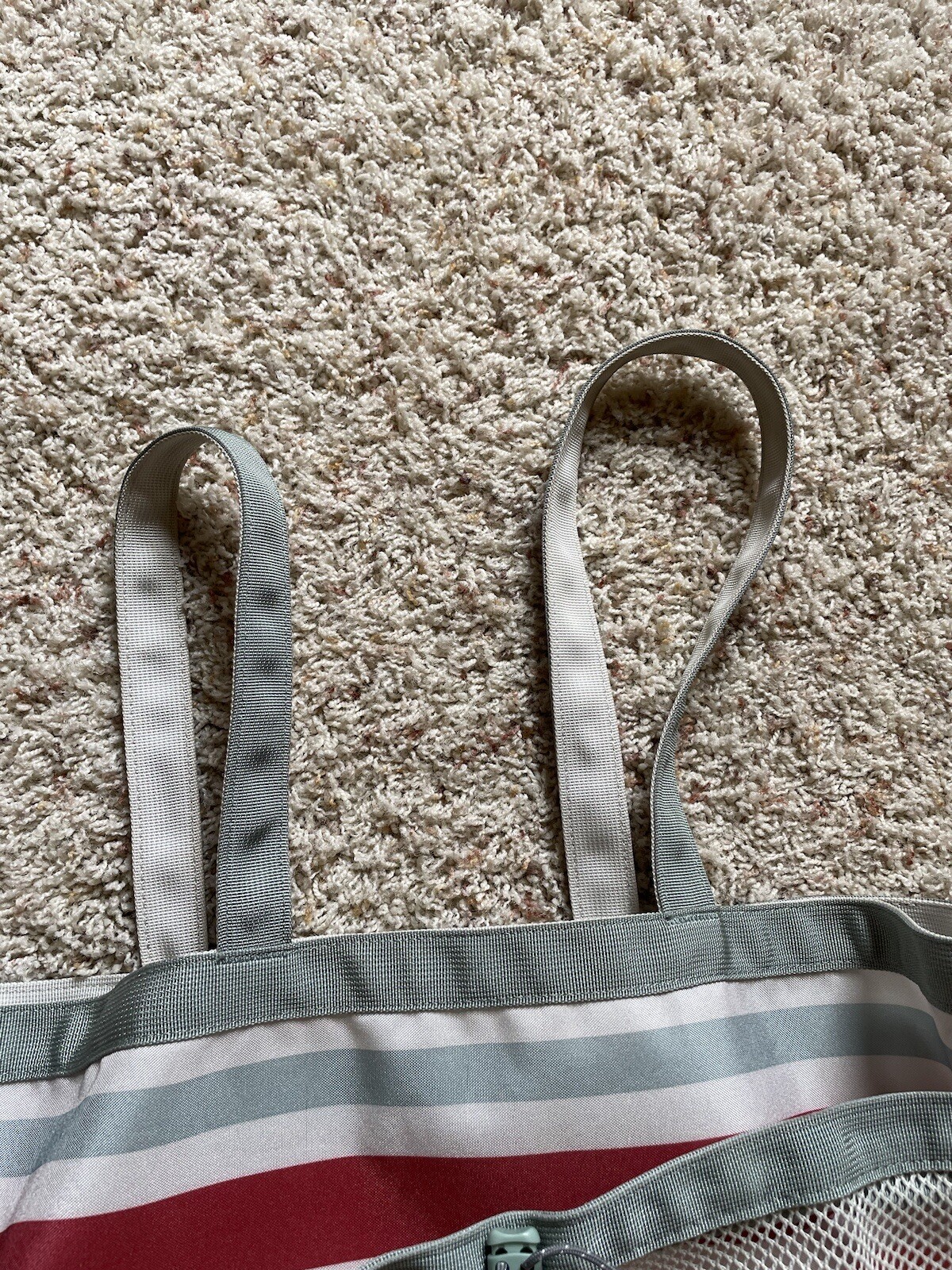 Rare Patagonia bag eBay