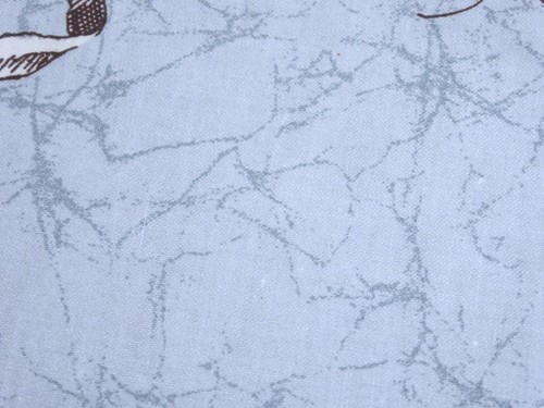 Vintage Cyrus Clark Eden Latin Botanical Cotton Chintz Fabric - Picture 7 of 10