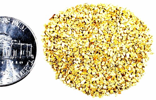 100 PIECE LOT ALASKAN YUKON BC NATURAL PURE GOLD NUGGETS (#G250) - Picture 5 of 7