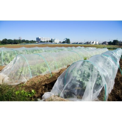 Farm Plastic Supply West Coast - Garden Insect Netting Screen - Choose Your Size