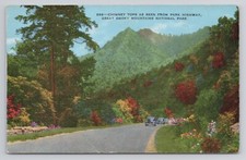 Chimney Tops Park Highway Great Smoky Mountains National Park Postcard