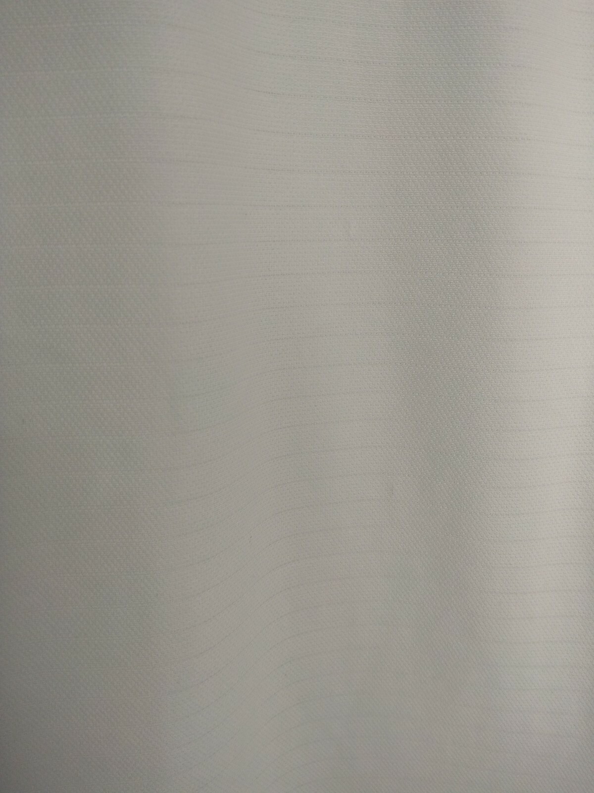 Picture 10 of 10