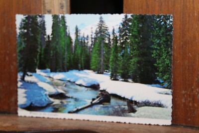 Vintage Postcard Free US Shipping Washington & Oregon Winter Cascade Mountains