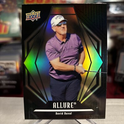 2024 Upper Deck Portfolio David Duval Allure RARE Black Rainbow SP 1:15  MINT