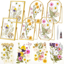 6 Pcs Gold Glass Frame Set for Pressed Flowers Handmade, 3 Different Shapes with