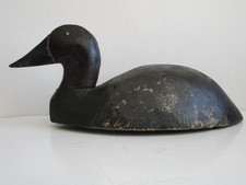 UNKNOWN UNBRANDED BLACK SCOOTER DUCK DECOY
