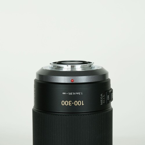 Panasonic LUMIX G VARIO 100 300mm F4.0 5.6 POWER O.I.S. Montaje Micro Cuatro Tercios - Imagen 10 de 12