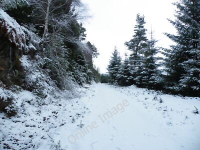 Photo 6x4 Great Glen Cycle Route in Creag-nan-Eun Forest Foyers/NH4920 G c2010