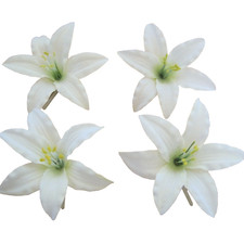 Four Piece Lot 3.5 " Cream White Lily Silk Flower Hair Clips,Wedding,Prom, Dance