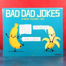 Bad Dad Jokes 16-Month Daily Joke Wall Calendar 2025 Willow Creek Press Sealed