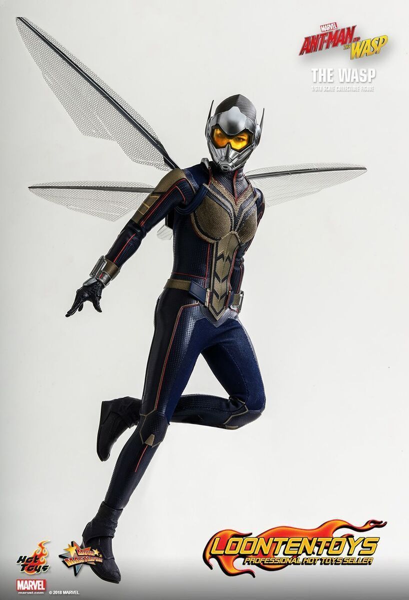 非売品 and Ant-Man – MMS498 1/6 Toys Hot the Gift Wasp The – Wasp その他