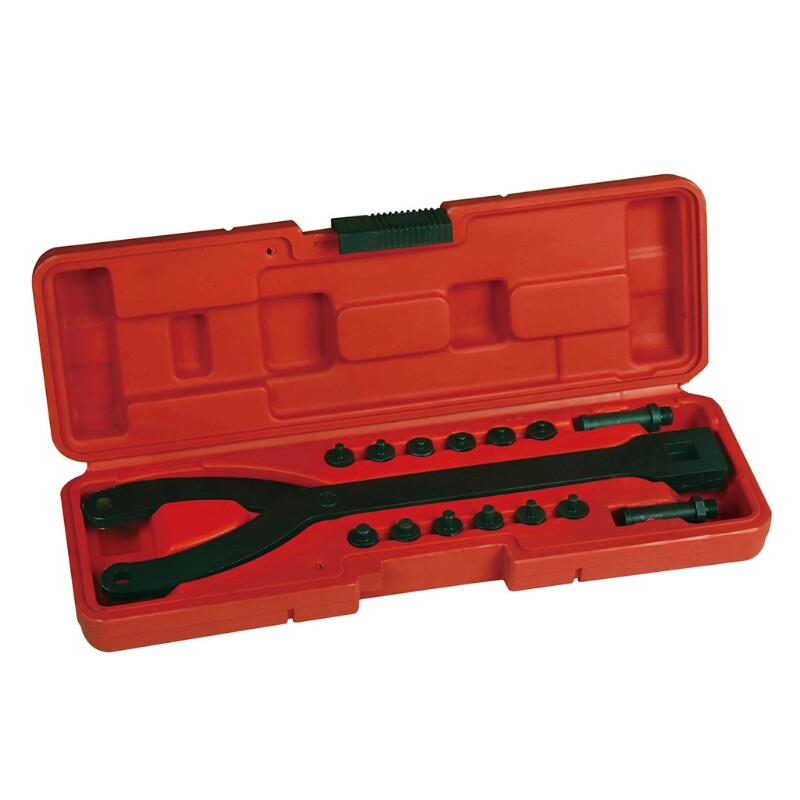 15Pcs Pin Spanner Wrench and Variable Pins 1/2 Inch Cylinder Spanner Wrench Set eBay