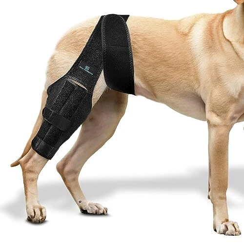 Dog knee cheap brace ebay