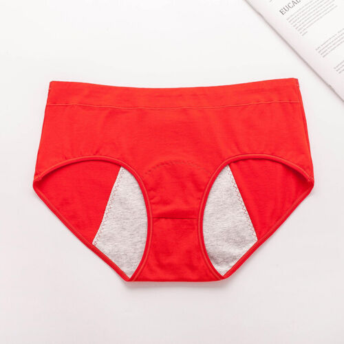 5Pc Women Everdries Leakproof Underwear Incontinence Leak Proof Protective Pants - Picture 13 of 24