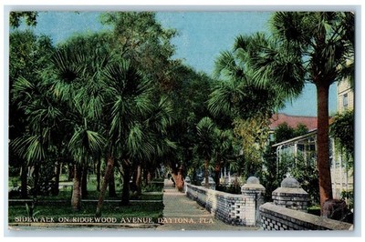 c1950's Sidewalk On Ridgewood Pathways Buildings Trees Park Daytona FL Postcard