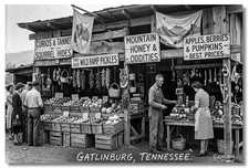 Vintage‑STYLE ART 1930s RPPC-SQUIRREL HIDES PRODUCE STAND GATLINBURG-FAUX PHOTO
