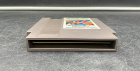 Anticipation (Nintendo Entertainment System, NES) Cartridge Only