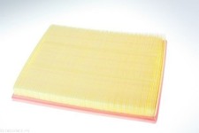 AUTOMEGA Luftfilter 180032810 für FORD