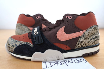 Nike SB Air Trainer 1 x Arts Rec Shoes Limestone | Size 10.5  display picture 1