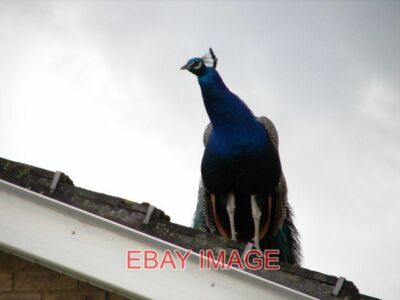 PHOTO  UP ON THE ROOF ITS PEACEFUL AS CAN BE AND THERE THE WORLD BELOW DON'T BOT