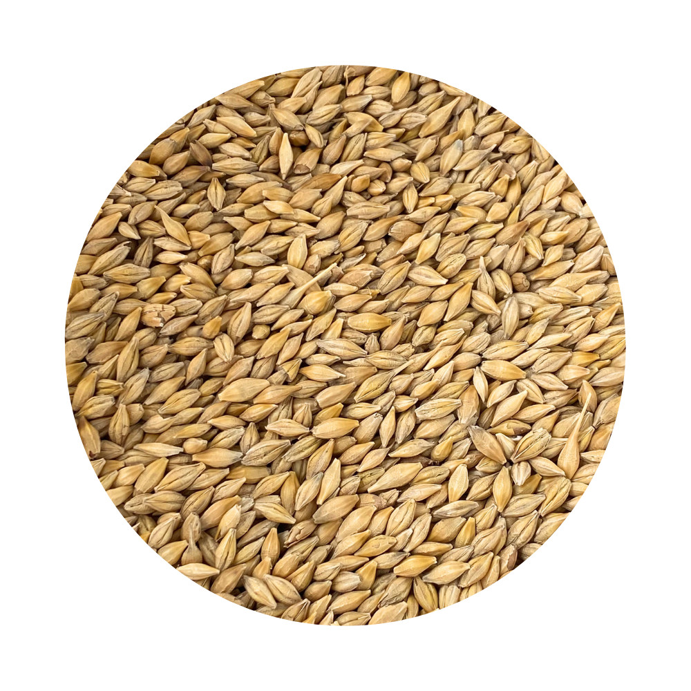 Gerste mahlen - Vollkornmehl selber machen