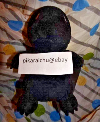 Charmander Pokemon Fragment Inn Thunderbolt Project Black M Size