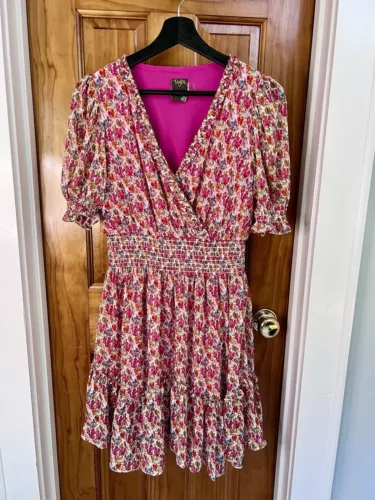 Taylor Dress Pink Floral Sheer Tiered Babydoll Smocked Fairy Coquette SZ 4