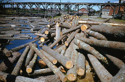 Nahma Township Michigan 1945 Lumberjack Logging Festival Old Photo 3