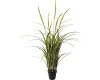 Kunstpflanze Miscanthus HöHe: 120 Cm GrüN