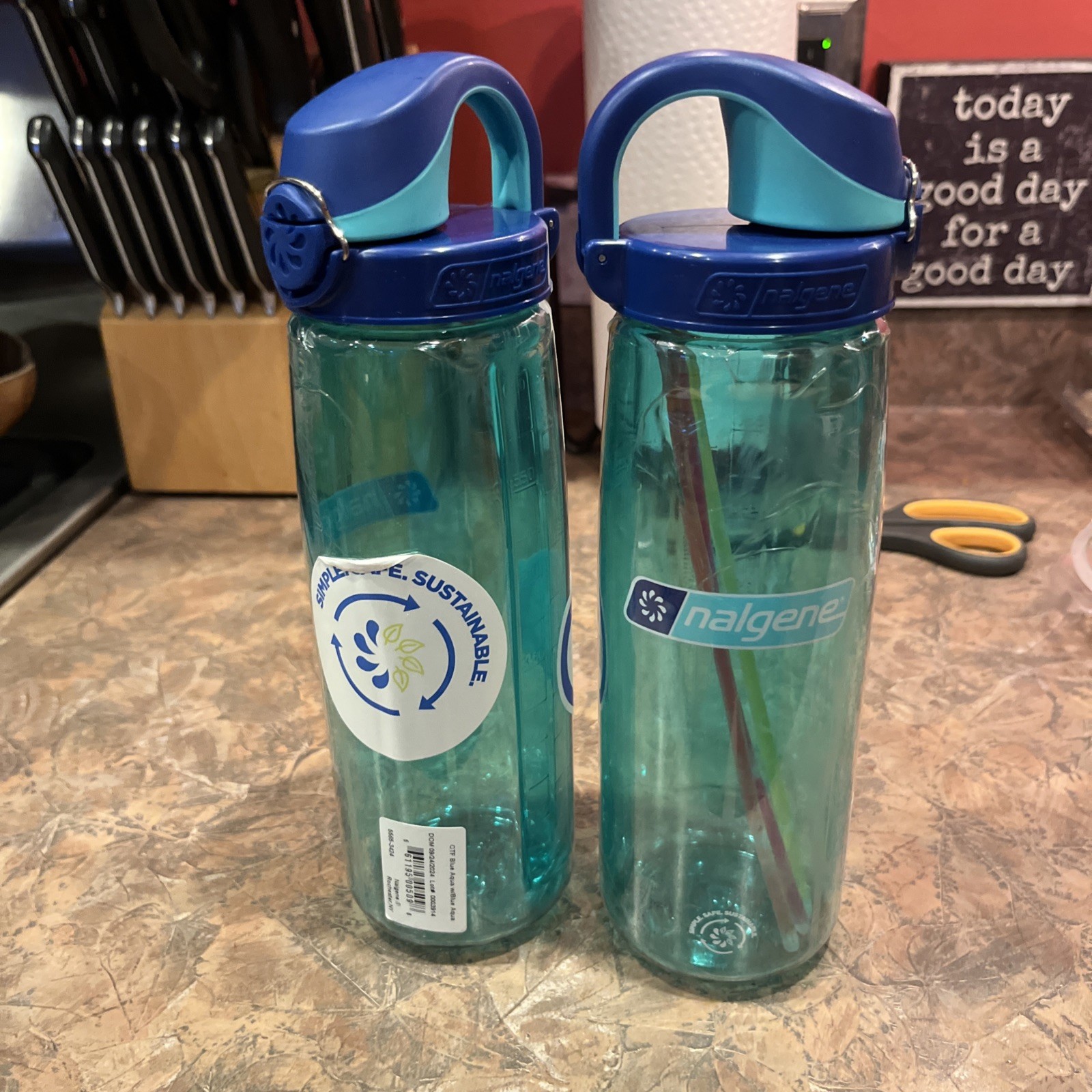 New Nalgene Sustain 24oz On-The-Fly (OTF) Bottle (Aqua w/Blue Aqua Cap) 1 Bottle