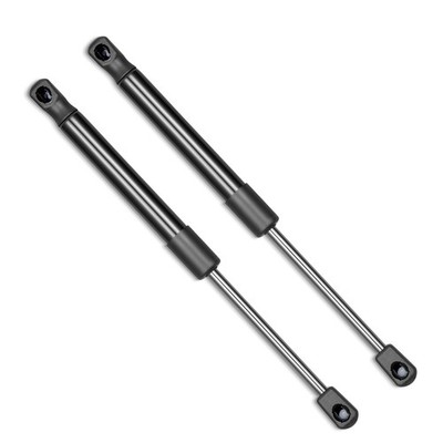 Rear Trunk Lift Supports Shocks Pair For 2011-2021 Dodge Challenger 3.6L 6.4L