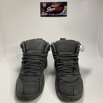 Jordan 12 Retro x PSNY Size 8 Dark Grey 130690-003 OG All 