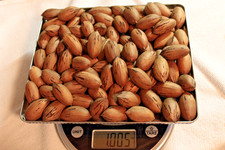 In-Shell Georgia Pecans   Rare Cultivar FRESH off the Tree   5 LBS