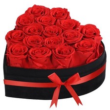 Luxury Forever Real Roses in Suede Box - 16-Piece Preserved Flowers Roses Gif...