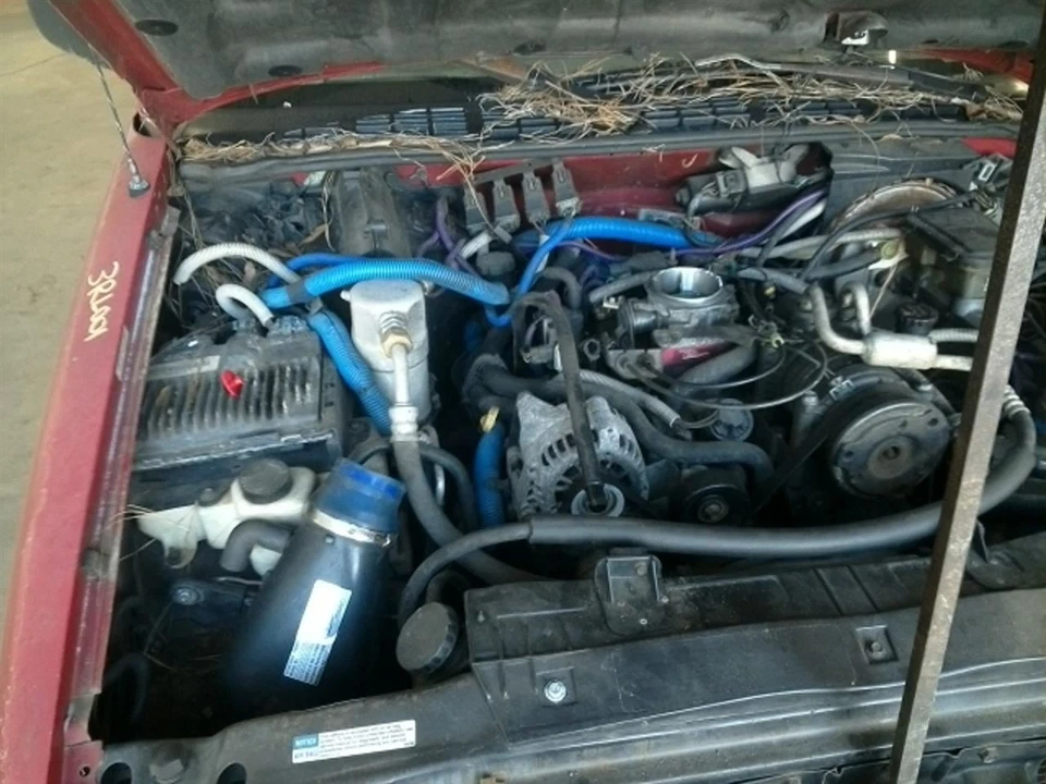 Vasilha de vapor de combustível S10PICKUP 1997 104940289 - Imagem 4 de 4