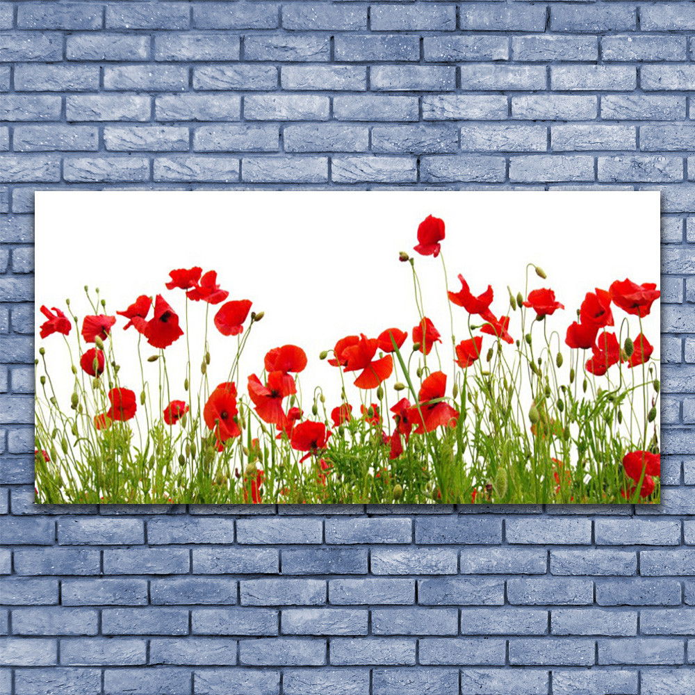 Cuadros de pared cuadros de vidrio impresión sobre vidrio 140x70 prado amapolas naturaleza