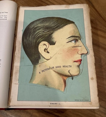 #ad #ad 1916 Library of Health Medical Book Anatomy Plates Flap Charts $299.00