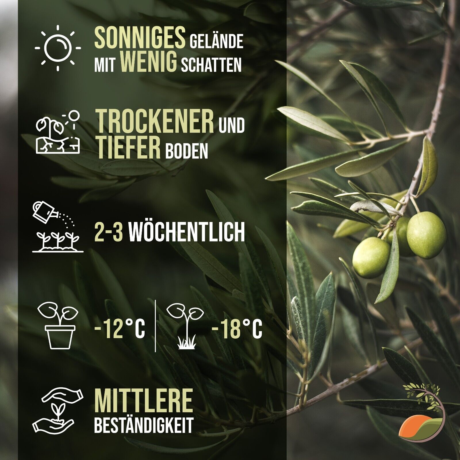 Bild 3 von 7