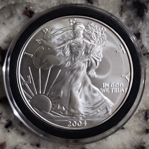 2004 American Silver Eagle Uncirculated 1oz .999 Fine Silver (SE-202)