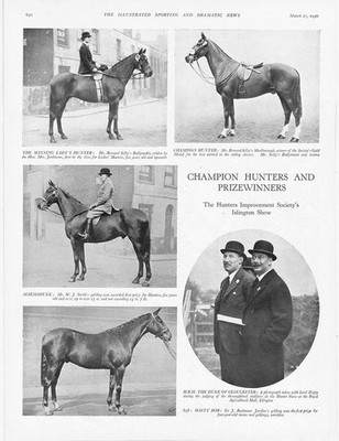 HORSES The Hunters Improvement Society Islington Show - Vintage Print 1936