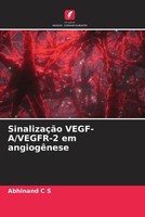 Abhinand C S | SinalizaçãO VEGF-A/VEGFR-2 Em AngiogêNese | Taschenbuch (2022)
